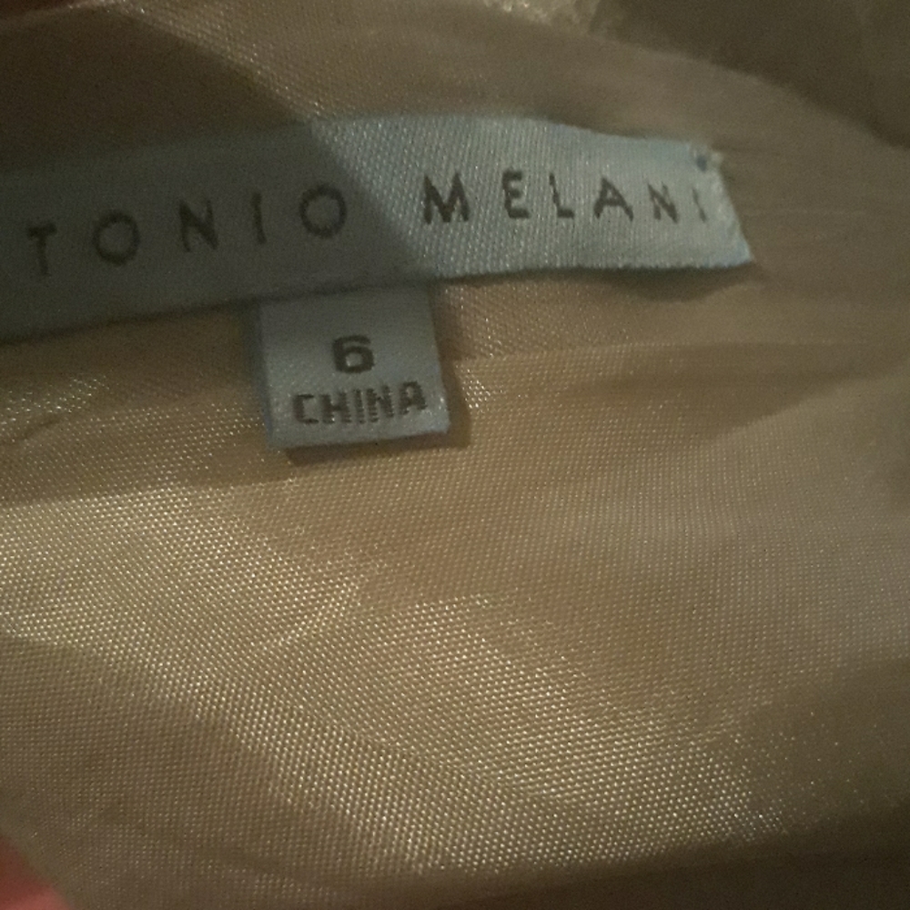 ANTONIO melani silver  sleeveless dress sz 6